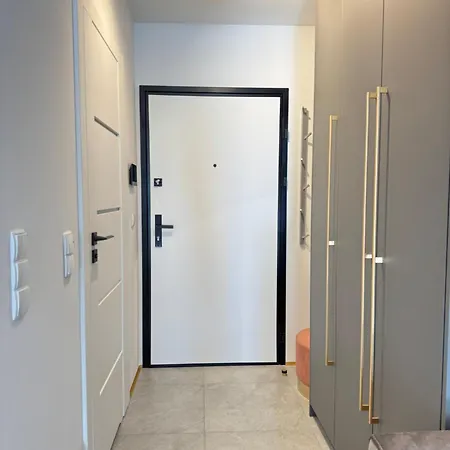 Apartman Zeromskiego Centrum I 15 Minut Plaza - Comfy