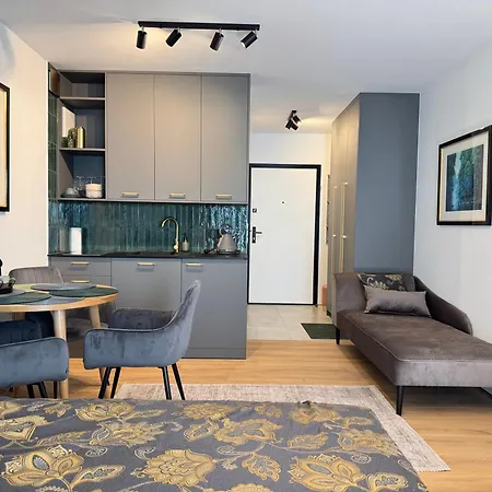 Zeromskiego Centrum I 15 Minut Plaza - Comfy *