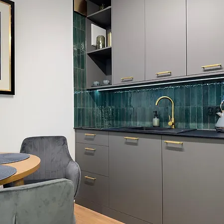 Apartment Zeromskiego Centrum I 15 Minut Plaza - Comfy