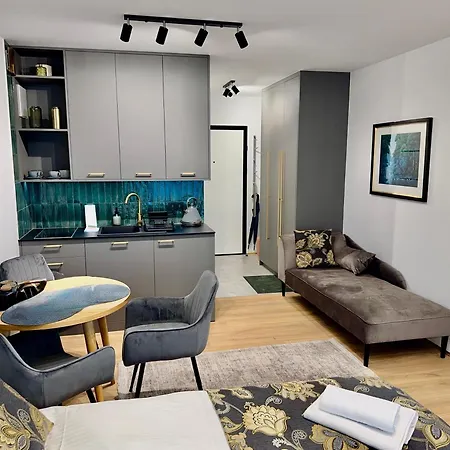 Zeromskiego Centrum I 15 Minut Plaza - Comfy